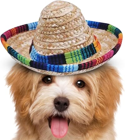 Mini Sombrero Hoedjes - Dieren Hoedjes - Feestdecoratie - Met Hoofdband - 16 x 16 x 18 cm - Natuurlijk