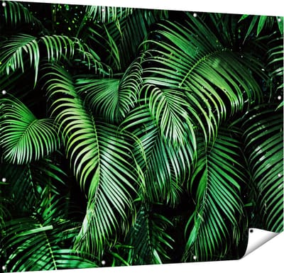 Gards Tuinposter Tropische Palm Bladeren - Groen - 150x120 cm - Tuindoek - Tuindecoratie - Wanddecoratie buiten - Tuinschilderij