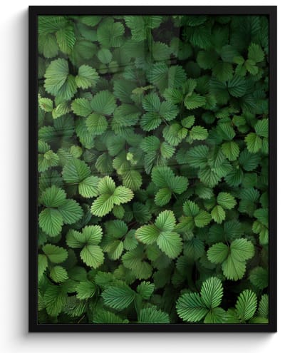 Poster in lijst - Fotolijst 60x80 cm - Posters - Groen - Bladeren - Kartel - Zonlicht - Posterlijst zwart - Decoratie - Wanddecoratie woonkamer - Muurdecoratie slaapkamer