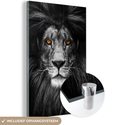 MuchoWow® Glasschilderij 40x60 cm - Schilderij acrylglas - Wilde dieren - Portret - Kleur - Foto op glas - Schilderijen