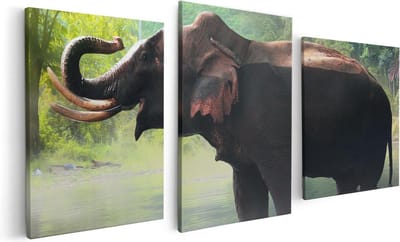 Artaza Canvas Schilderij Drieluik Olifant In Het Water - 120x60 - Foto Op Canvas - Canvas Print