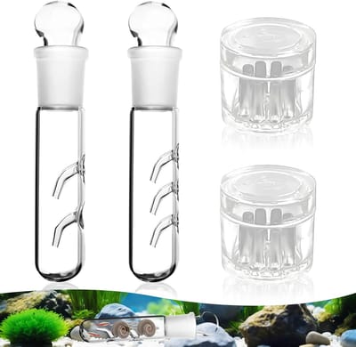 4 stuks planariumval, slakkenval, aquarium, 2 gaten, 3 gaten, helder glas, planaria-trap, efficiënt, voor vis, tank, planaria-val, slakken, bloedzuigers