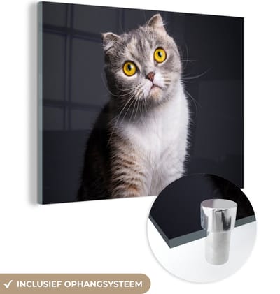 MuchoWow® Glasschilderij 160x120 cm - Schilderij acrylglas - Kat - Ogen - Licht - Foto op glas - Schilderijen