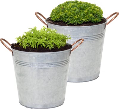 Mega Collections Emmer/plantenpot/bloempot Jean - 2x - zink - zilver - D20 X H17 cm