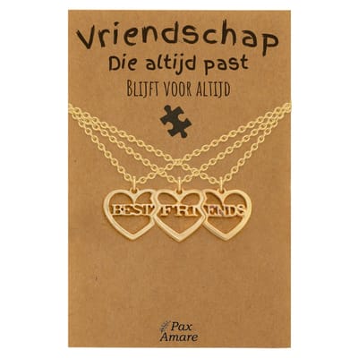 BFF Ketting voor 3 'Vriendschap die altijd past' - 3 hartjes - Best Friends - Vriendschapsketting op Cadeau Kaartje - 45cm + 5cm verstelbaar - Goudkleurig - Best Friends Hanger - Pax Amare
