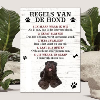 Spreuken - Bouvier - Regels Van De Hond - Spreuken Bordjes - Spreukenbord - Tekstborden - Cadeau - Hondenras
