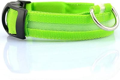 Lichtgevende Halsband Hond – LED Halsband – Maat L - 45/53 cm - Verlichting hond – Honden lampje - Hondenhalsband  inclusief batterijen - Honden verlichting - Groen