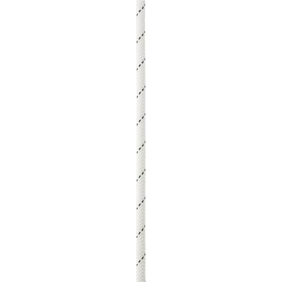 Petzl SEGMENT 8 mm Wit – Technisch accessoirekoord 50 m