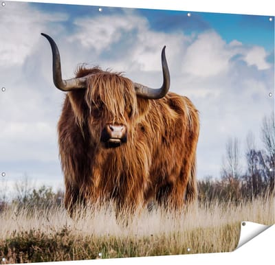 Gards Tuinposter Schotse Hooglander Koe - Kleur - 150x120 cm - Tuindoek - Tuindecoratie - Wanddecoratie buiten - Tuinschilderij