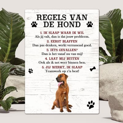 Spreuken - Tosa - Regels Van De Hond - Spreuken Bordjes - Spreukenbord - Tekstborden - Cadeau - Hondenras