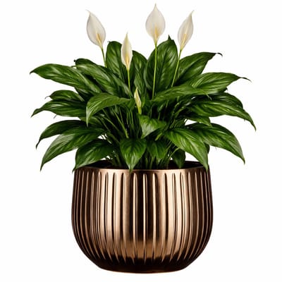 Mica Decorations Plantenpot - keramiek - brons glans / ribbels - D29 x H25 cm - bloempot Pablo