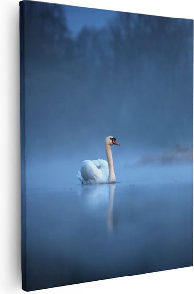 Artaza Canvas Schilderij Zwaan In Mist - 40x50 cm - Muurdecoratie Vogels - Wanddecoratie Woonkamer - Kamer Accessoires Water