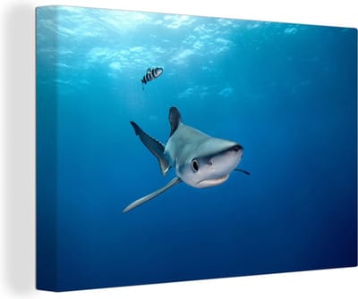 Canvas Schilderij Grote blauwe haai - 90x60 cm - Wanddecoratie