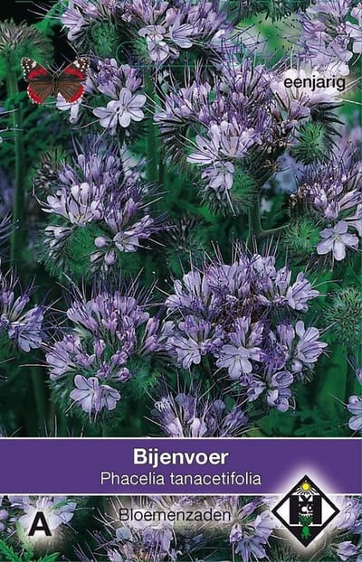 2 stuks Van Hemert & Co Phacelia tanacetifolia