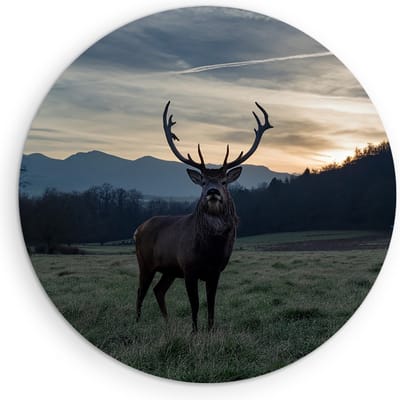 Saammp Muurcirkel Hout - Hert - Zonsondergang - Natuur - Dieren - Ø 90 - Wandcirkel - Wanddecoratie Cirkel - Muurdecoratie Woonkamer - Slaapkamer decoratie - Rond Schilderij