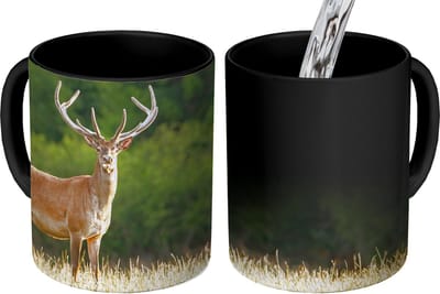 Magische Mok - Foto op Warmte Mokken - Koffiemok - Hert - Gewei - Gras - Natuur - Dieren - Groen - Magic Mok - Beker - 350 ML - Theemok