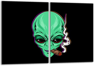 TMK ArtDeko UFO - Beschermplaat voor Kookplaat - 2x40x52 cm - Veilig en Praktisch