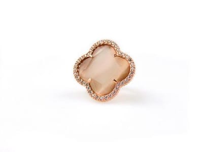 model Fiori gezet ring in zilver roze verguld bruin