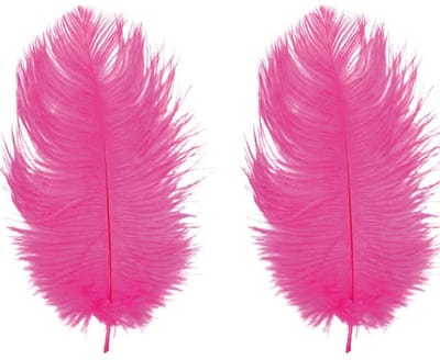 Chaks Roetveeg Piet Struisvogelveren - 2x - fuchsia roze - 30-35 cm - Sinterklaas verkleedveer