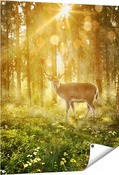 Gards Tuinposter Hert in Bos met Zon - 80x100 cm - Tuindoek - Tuindecoratie - Wanddecoratie buiten - Tuinschilderij