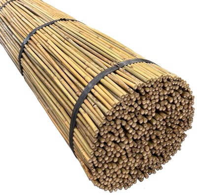 Masters of Bamboo® Bamboestokken Tonkin Ø 8-10 mm - 105 cm - 500 stuks