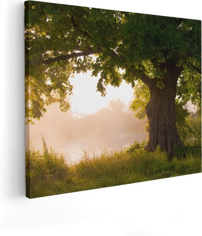 Artaza Canvas Schilderij Landschap - 50x40 cm - Wanddecoratie Bos - Muurdecoratie Boom - Schilderijen Op Canvas Natuur