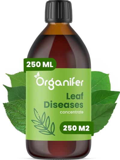 Leaf Diseases Bladziekten Concentraat (250ml, 250m2) - Bladziekten en bladvlekkenziekte – Meeldauw – Meeldauw, roest, bladvlekken, sterroetdauw en gras-schimmel – Organifer