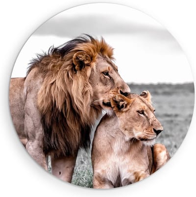Saammp Muurcirkel Hout - 2 Leeuwen - Liefdevol - Dieren - Natuur - Ø 90 - Wandcirkel - Wanddecoratie Cirkel - Muurdecoratie Woonkamer - Slaapkamer decoratie - Rond Schilderij