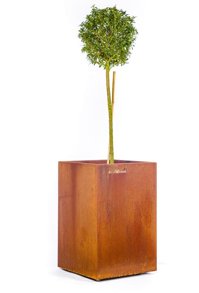 Serenti-Bloembak Pistoria- Cortenstaal- afmeting 40x40x60 cm