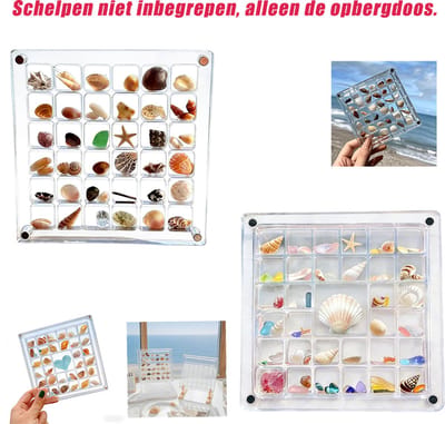 69 roosters schelp opbergdoos - Schelpen Verzameldoos met Vakjes - Acryl Magnetische Schelpen Display Doos - Transparante Opbergdoos voor Schelpen - Mini Schelpen Organizer - Het kan gebruikt worden voor decoratie DIY schilderwerk en decoraties