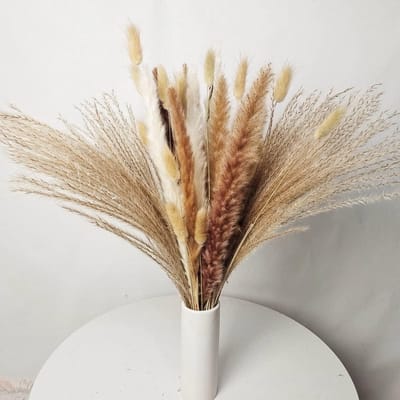 Gedroogde bloemen - Natuurlijk boeket - Decoratie aanbrengen - Lange levensduur - 50 cm - Bruin beige wit