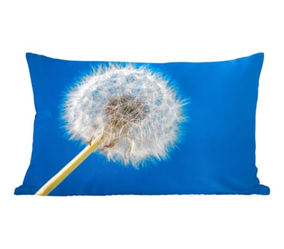 Sierkussens - Kussentjes Woonkamer - 50x30 cm - Paardenbloem - Bloem - Terras