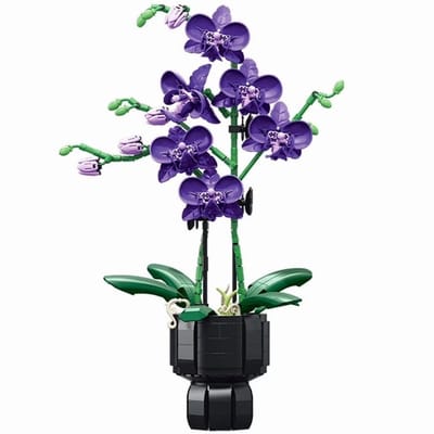 JieStar JJ9235 Orchideeën bloemen bouwset | Botanical Flowers Collection modelbouw | Classic Creator STEM speelgoed bouwpakket voor volwassenen en kinderen | Educatief kunstbloemen decoratie geschikt voor Lego | bouwdoos met 666 bouwstenen