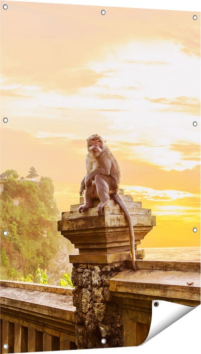 Gards Tuinposter Aap op de Uluwatu Tempel in Bali - 80x120 cm - Tuindoek - Tuindecoratie - Wanddecoratie buiten - Tuinschilderij