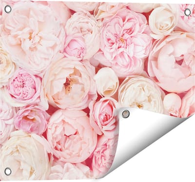 Gards Tuinposter Witte Roze Rozen Boeket - Bloemen - 50x40 cm - Tuindoek - Tuindecoratie - Wanddecoratie buiten - Tuinschilderij