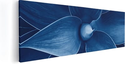Artaza Canvas Schilderij Botanisch - 60x20 cm - Muurdecoratie Plant - Wanddecoratie Bloemen - Schilderijen Op Canvas