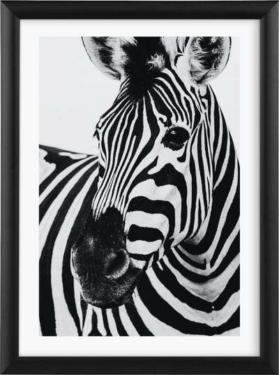 Goldbuch - Fotolijst Alluminio - Zwart - 15x20 cm