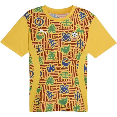 Puma Herenvoetbalshirt Ghana (voor de wedstrijd) (Geel)