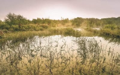 Fotobehang - Morning View II 400x250cm - Vliesbehang