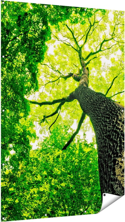Gards Tuinposter Boom in het Bos met Fel Groene Bladeren - 120x180 cm - Tuindoek - Tuindecoratie - Wanddecoratie buiten - Tuinschilderij