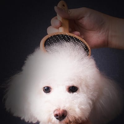 Huisdier Houten Borstel Verzorgingskam Professionele Haarverwijderingsborstel voor Pluizige Katten & Honden(Ronde Kop Klein ) gray