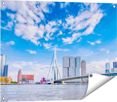 Gards Tuinposter Erasmusbrug aan het Water in Rotterdam - 80x60 cm - Tuindoek - Tuindecoratie - Wanddecoratie buiten - Tuinschilderij