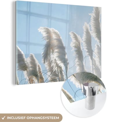 MuchoWow® Glasschilderij 40x30 cm - Schilderij acrylglas - Lucht - Gras - Pampasgras - Foto op glas - Schilderijen