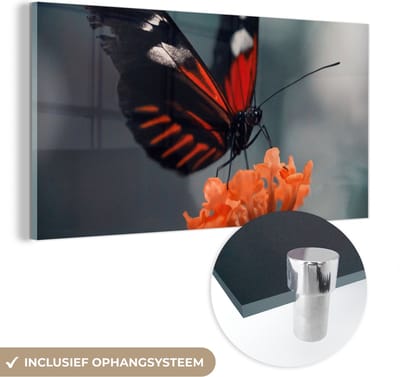 MuchoWow® Glasschilderij 40x20 cm - Schilderij acrylglas - Vlinder - Bloemen - Insect - Foto op glas - Schilderijen