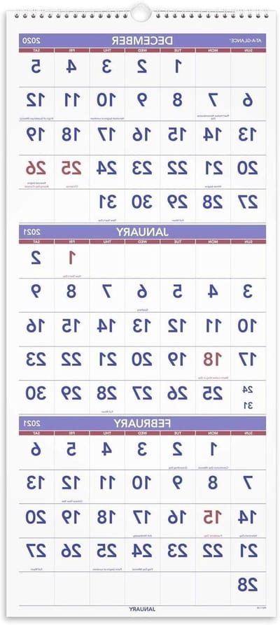 Wandkalender Groot - Jaarkalender Planner - Toekomst Plannen - Driemaanden Overzicht - 30 x 69 cm - Rood en Blauw