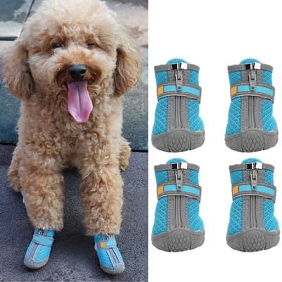 Petites Chaussures pour Chiot Léger Extérieur Respirant Antidérapant Bottes Accessoire pour Animal de Compagnie(lac bleu (Filet 9 Trous) Taille 1)