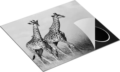 Chefcare Inductie Beschermer Twee Giraffes in het Veld - Zwart Wit - 60x50 cm - Afdekplaat Inductie - Kookplaat Beschermer - Inductie Mat