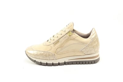 DLSport 6725 versione 0c