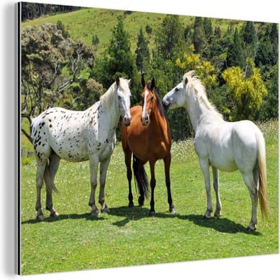 Wanddecoratie Metaal - Aluminium Schilderij Industrieel - Paarden - Boom - Schaduw - 160x120 cm - Dibond - Foto op aluminium - Industriële muurdecoratie - Voor de woonkamer/slaapkamer