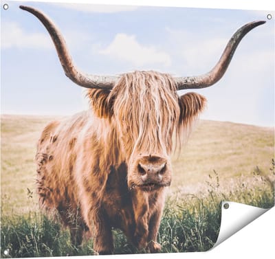 Gards Tuinposter Schotse Hooglander Koe in de Wei - 100x80 cm - Tuindoek - Tuindecoratie - Wanddecoratie buiten - Tuinschilderij